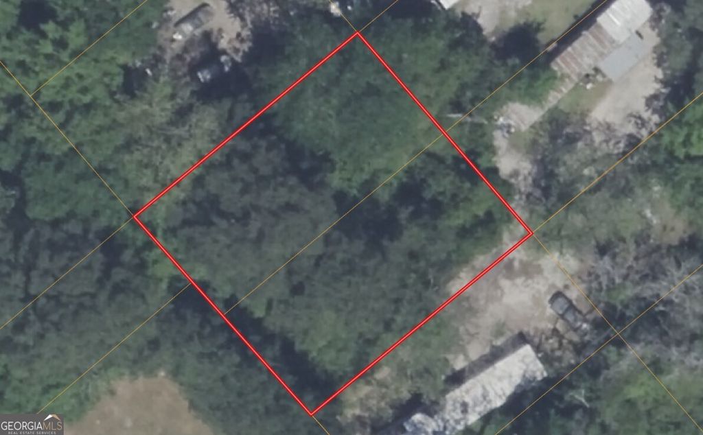 Photo of 48 Macon St, Ludowici, GA 31316 (MLS # 10690418)