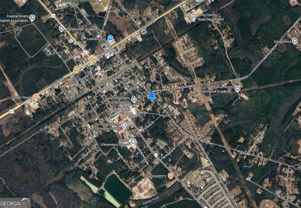 Photo of 48 Macon St, Ludowici, GA 31316 (MLS # 10690418)