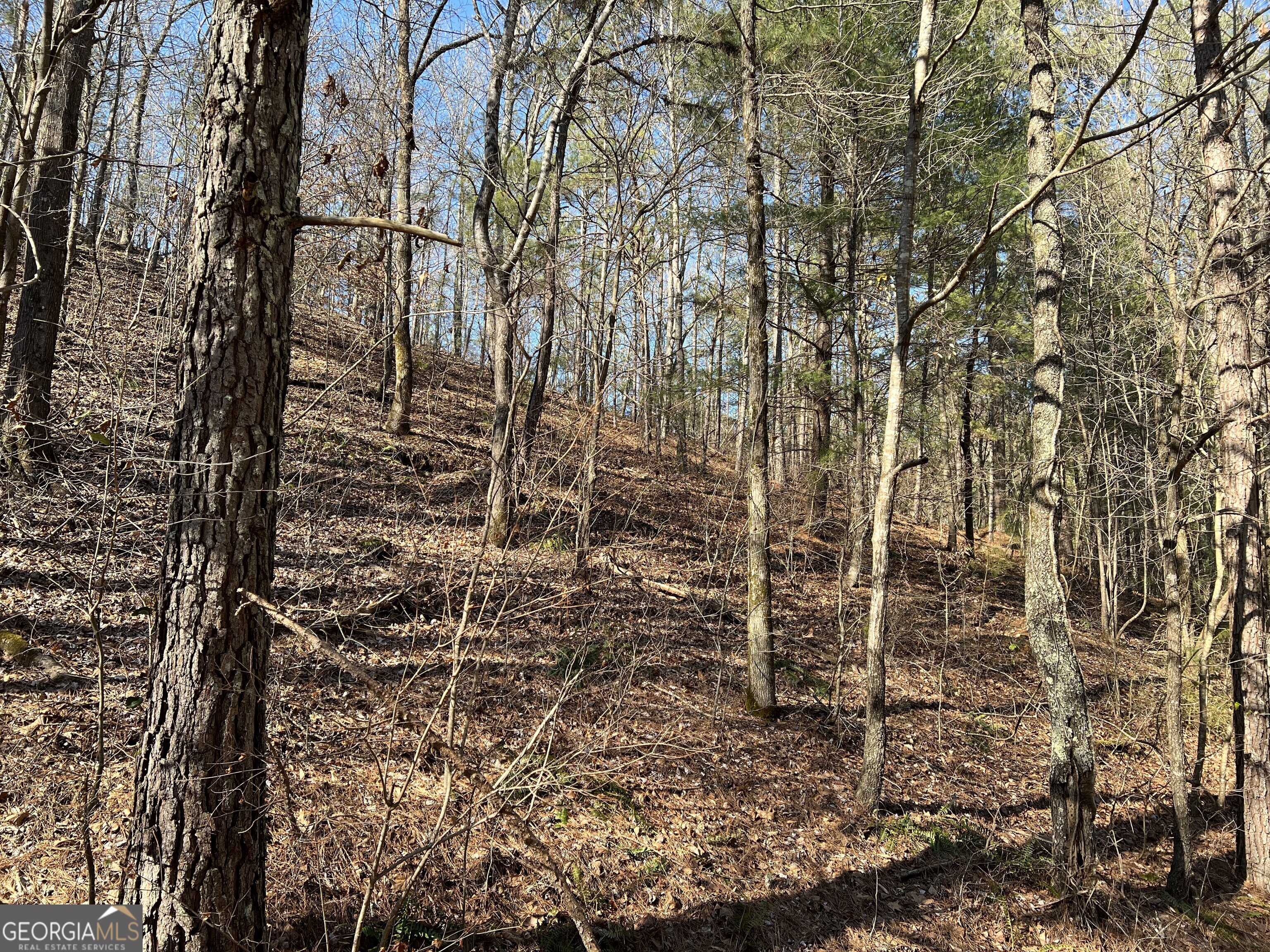 LOT 821 Monody LN