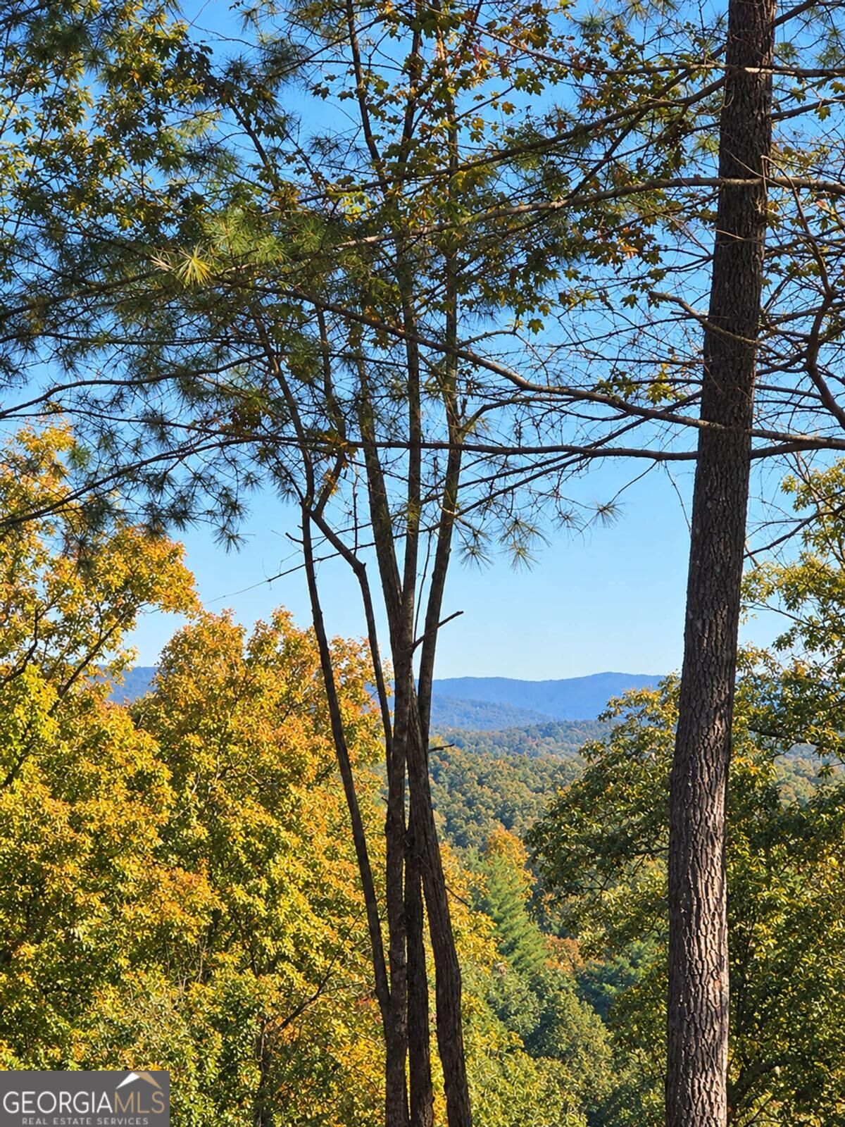 LOT B6 Bentwood LN