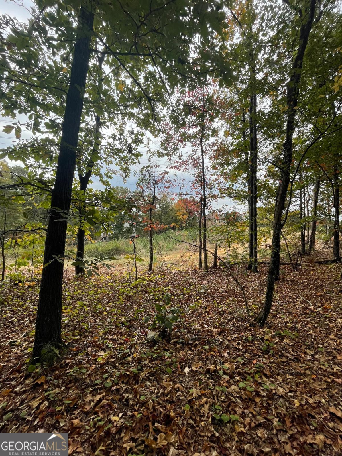 41 Foxfire LN