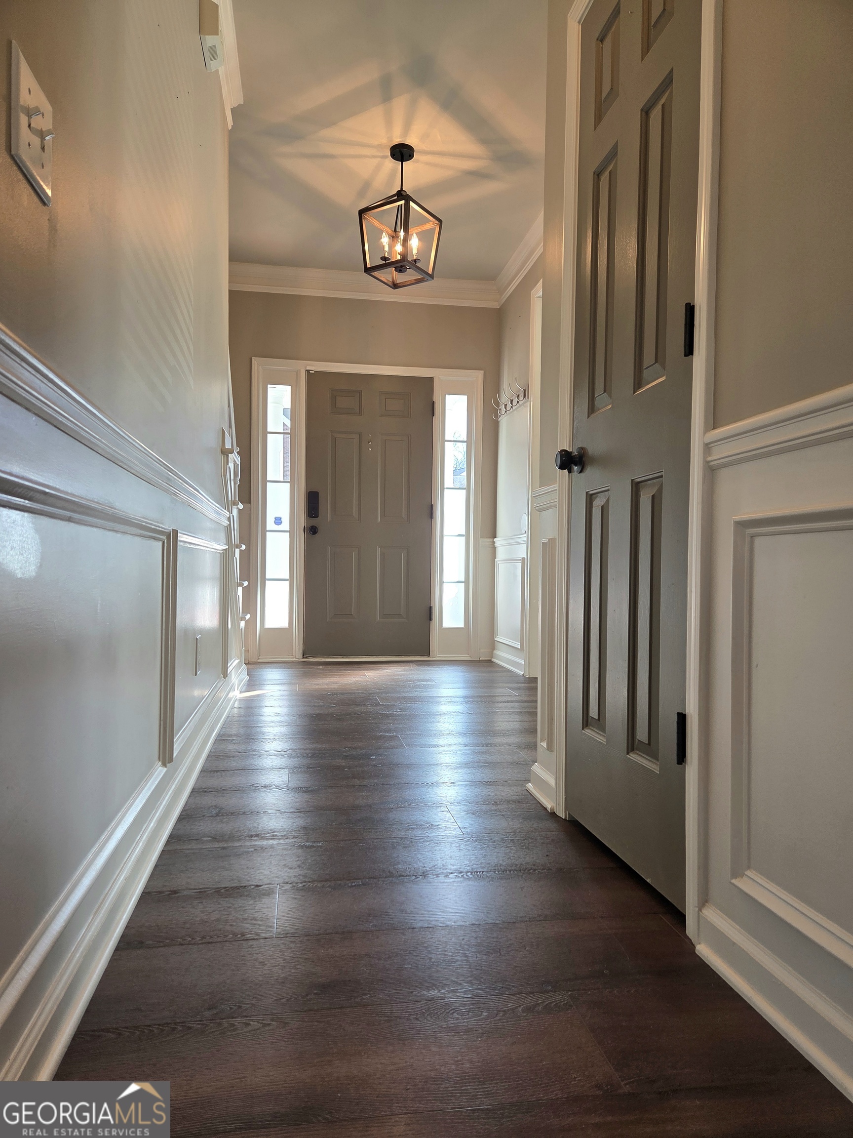 1581 Shetland Pony CT