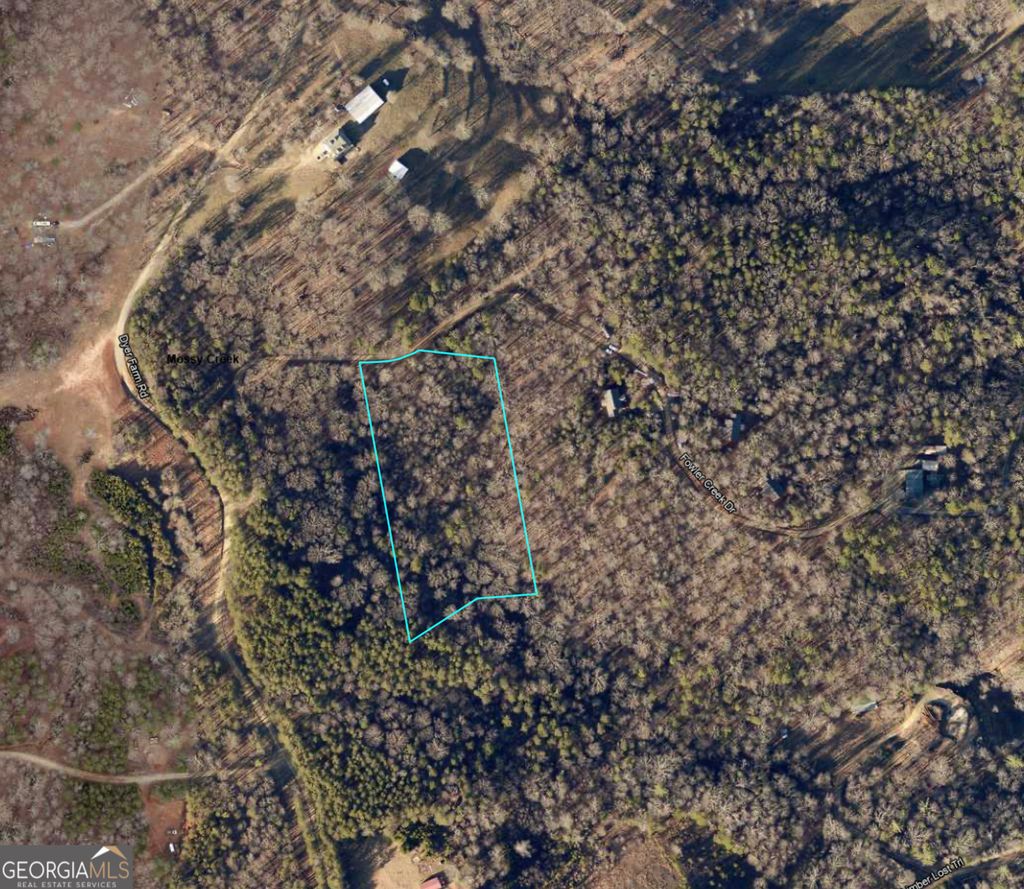 Photo of 5 Fowler Creek Drive, Cleveland, GA 30528 (MLS # 10767193)
