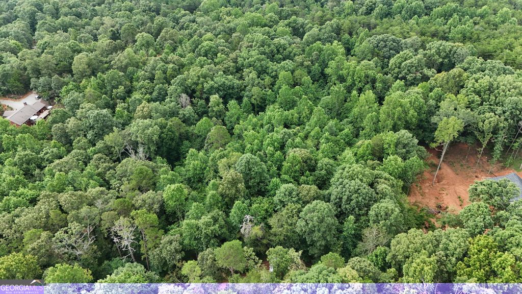 Photo of 5 Fowler Creek Drive, Cleveland, GA 30528 (MLS # 10767193)