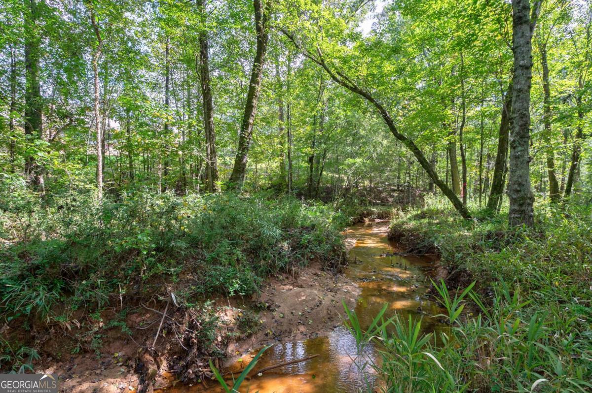 The Georgia Club - Residential