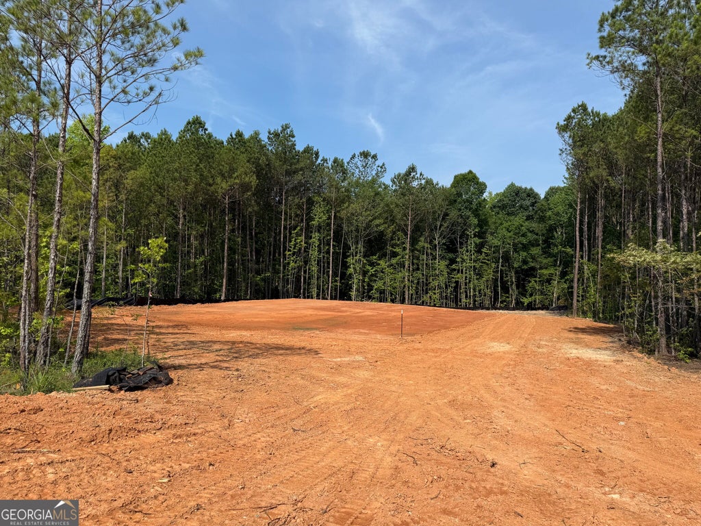 Photo of 8 High Pointe, LaGrange, GA 30241 (MLS # 10855291)