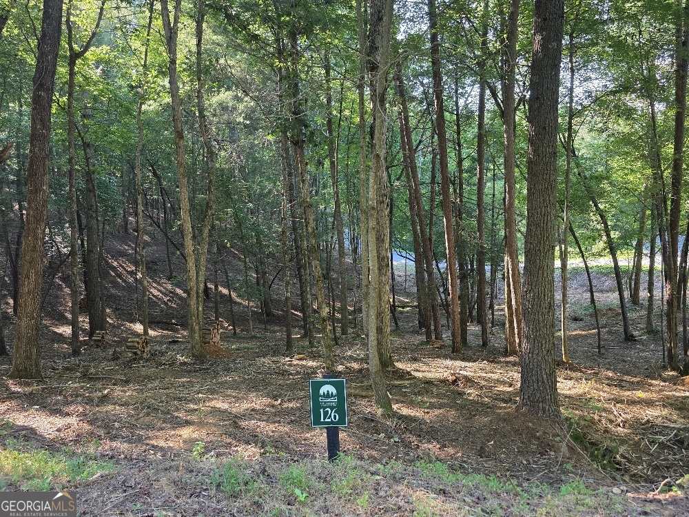 Escape the hustle and bustle of city life and discover your mountain retreat on this beautiful 0.83-acre private, wooded lot with Access to a rushing trout Stream! Tucked away in the scenic town of Ellijay-only 7 Miles from downtown-this lot offers a peaceful setting with an easy buildsite, making it perfect for your dream cabin or weekend getaway. Located in The Preserve at Mountaintown Creek, a gated community designed for nature lovers and outdoor enthusiasts, you'll enjoy top-notch amenities including a fully completed pool and pavilion, pickleball court, creekfront park, and a kayak/canoe launch offering access to a full mile of bold trout stream. With paved roads, underground utilities, and city water already in place, this property is ready for you to build and enjoy. Don't miss this rare opportunity to own creekfront land in one of North Georgia's most desirable mountain communities.