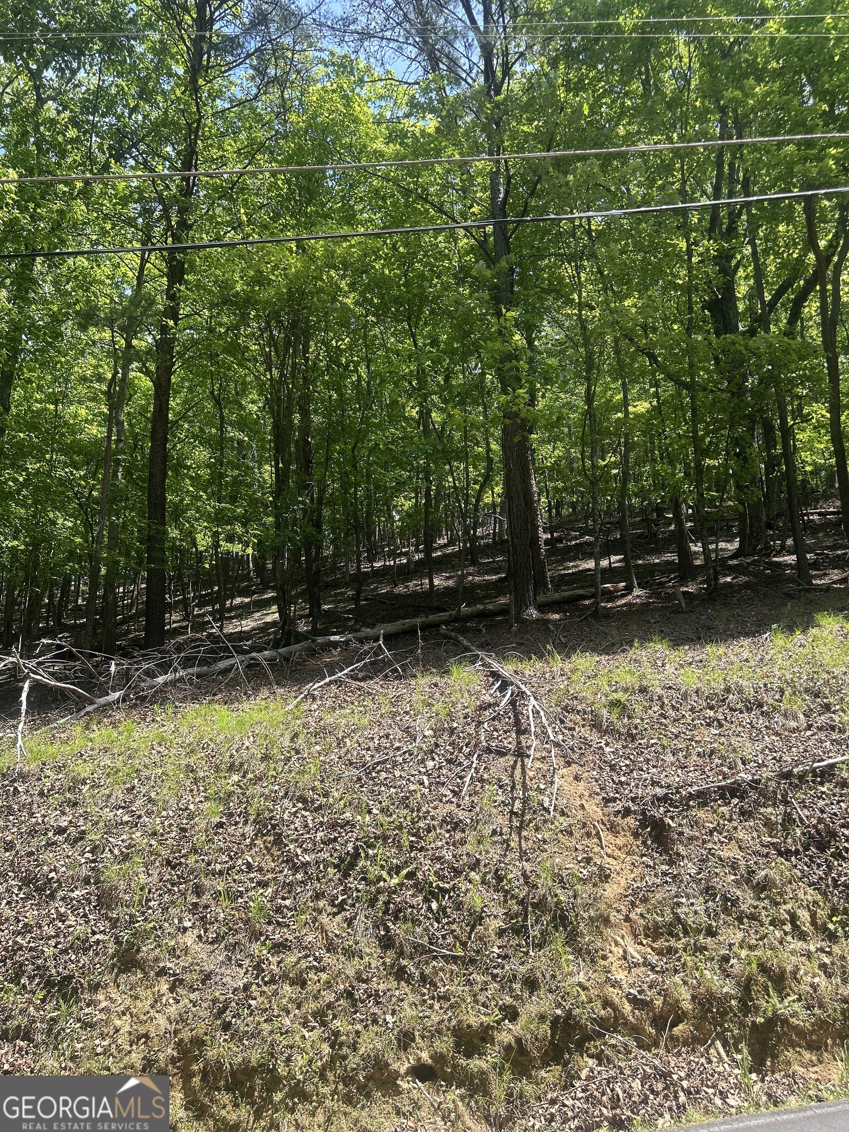 381 Hillside DR