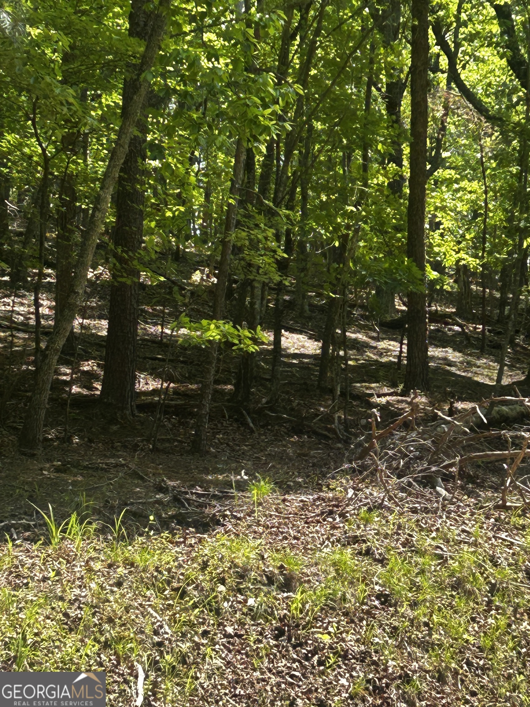 381 Hillside DR