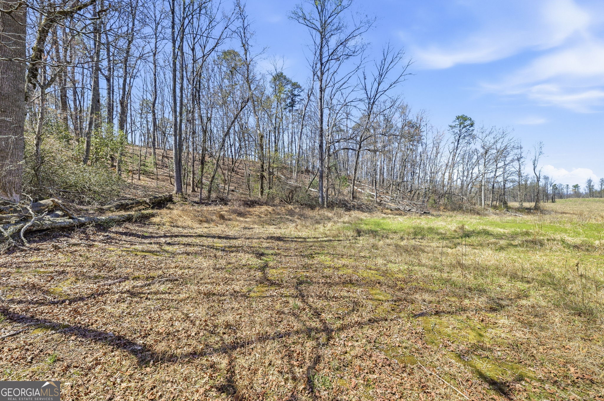 4034 Piedmont Orchard RD