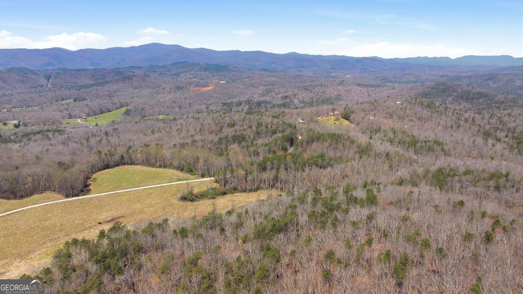 Photo of 4034 Piedmont Orchard Road, Clarkesville, GA 30523 (MLS # 10729261)