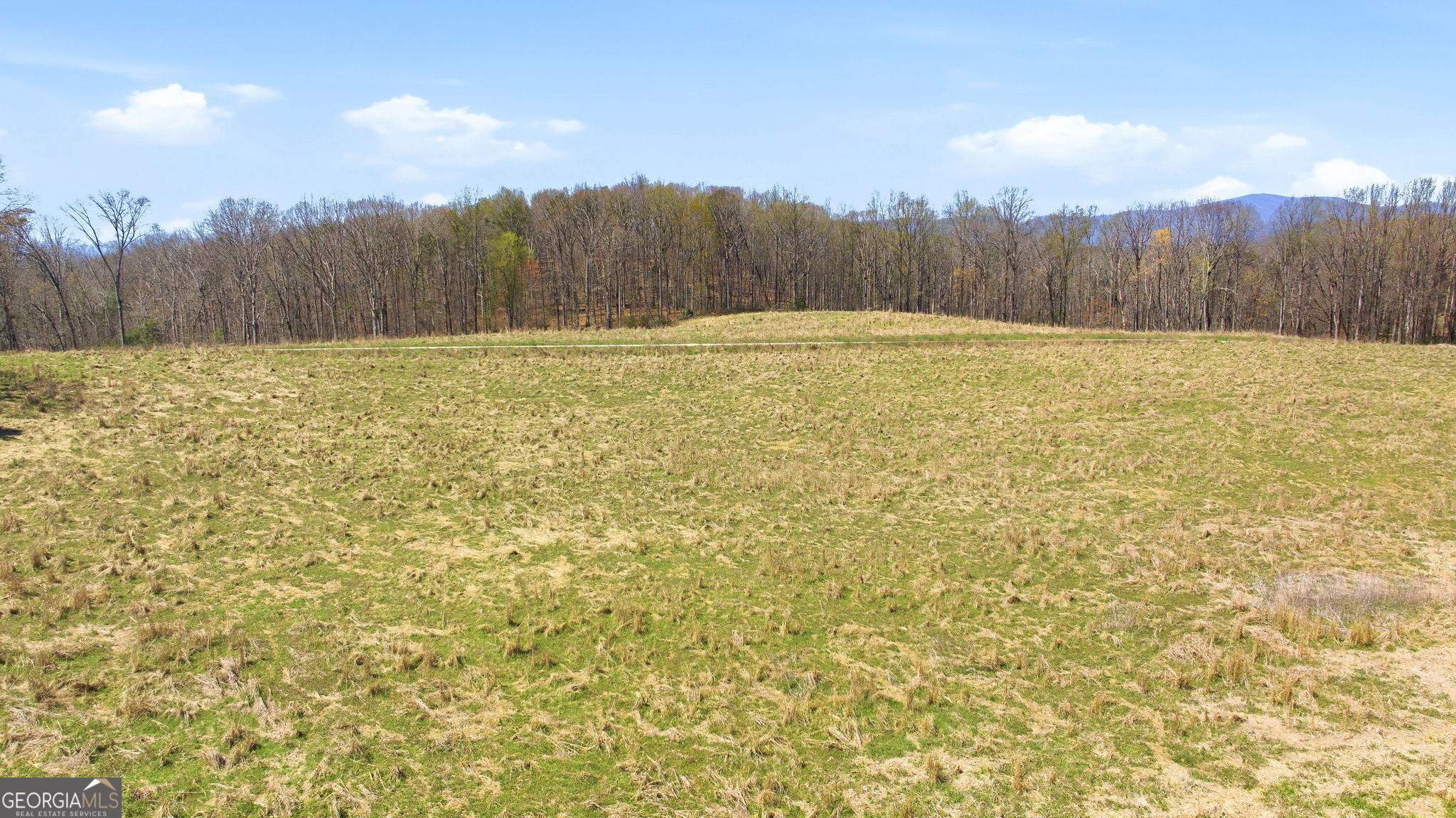 4034 Piedmont Orchard RD