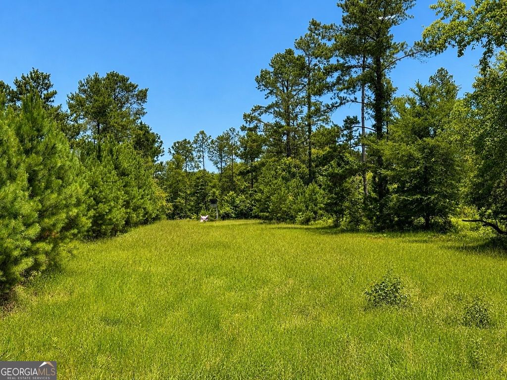 Photo of 0 Stonewall, Macon, GA 31211 (MLS # 10795255)