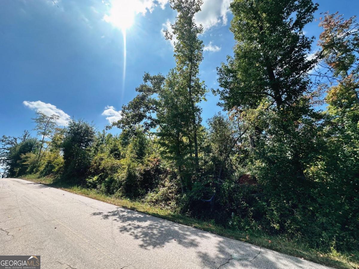 1.5+/- acre. Perfect city corner lot in downtown Franklin to build your dream home.