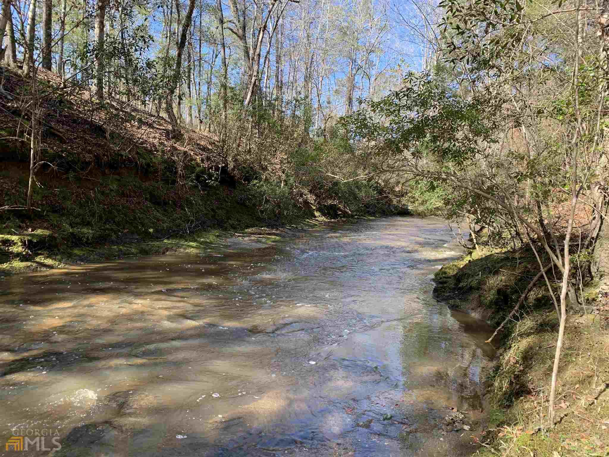 This incredible Russell County, AL tract is a wildlife paradise! The habitat is perfect with a great mix of pine plantation, hardwoods, creek bottoms and food plots. Weolustee Creek is the entire western boundary. The land is located on Hwy 431 between Seale and Pittsview, with easy access to Columbus, GA. The interior road system is good and allows access to the entire tract.