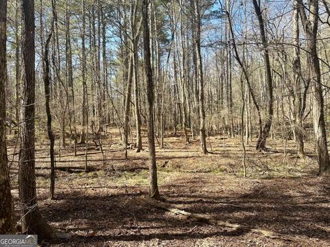 555 Larmon Forks RD Dahlonega GA 30533