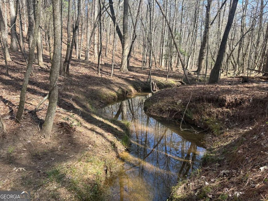 Photo of 555 Larmon Forks Road, Dahlonega, GA 30533 (MLS # 10718854)