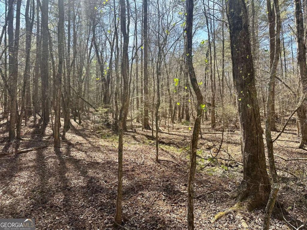 Photo of 555 Larmon Forks Road, Dahlonega, GA 30533 (MLS # 10718854)