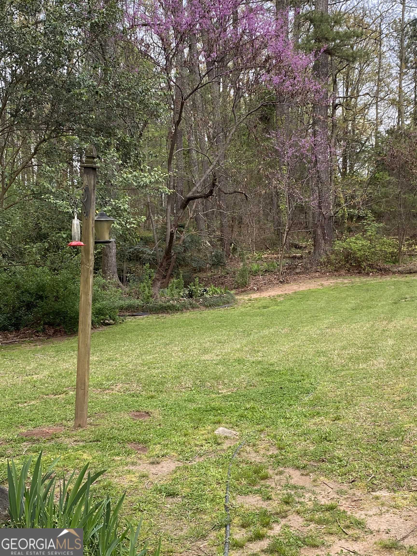2088 Noah's Ark RD