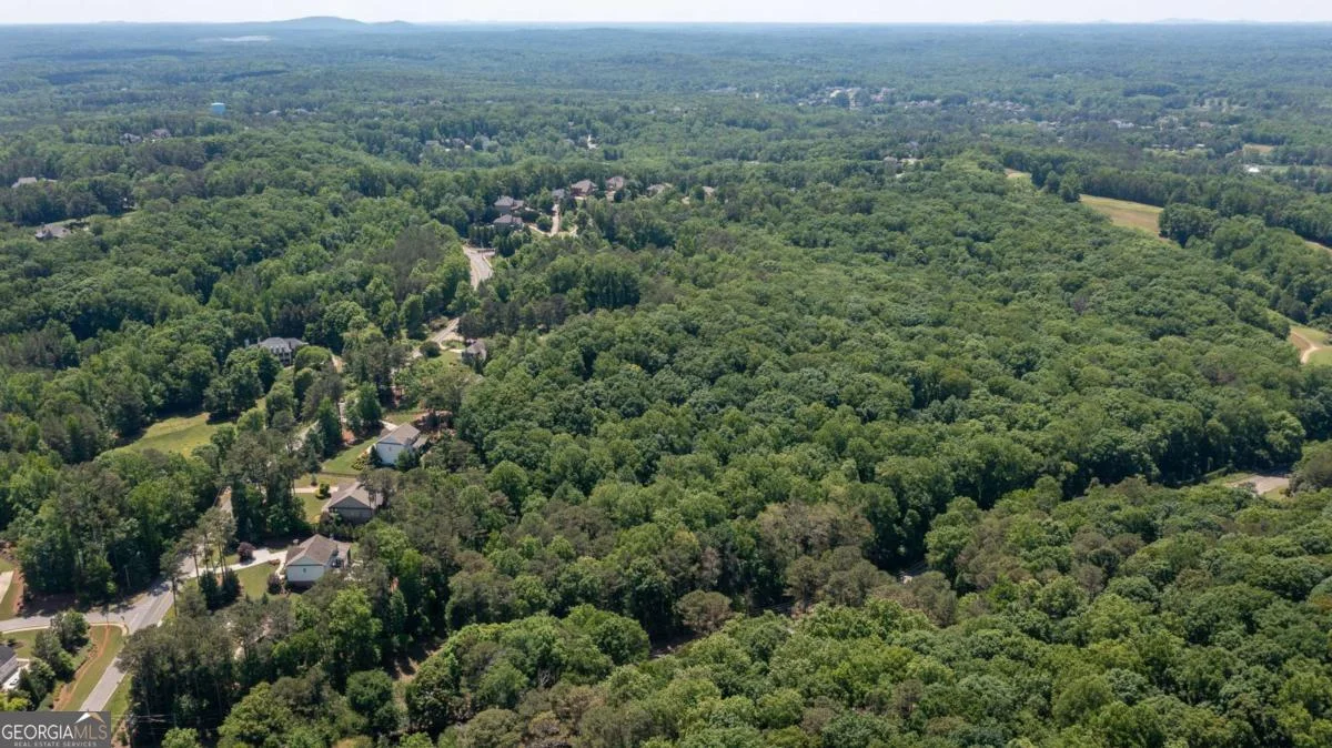 1981 Mountain Road
