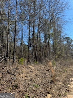 The lot of your dreams awaits! Country Lot outside of Sparta, GA with dual road frontage (one paved, one dirt) and potential for residential use. No restrictions make this a perfect lot for a mobile home or other intended use. This is two parcels that will be surveyed into one before closing. Perc test on file. There is a power line Easement through the rear corner of the lot. This lot is ready to be cleared and made into your perfect home site!