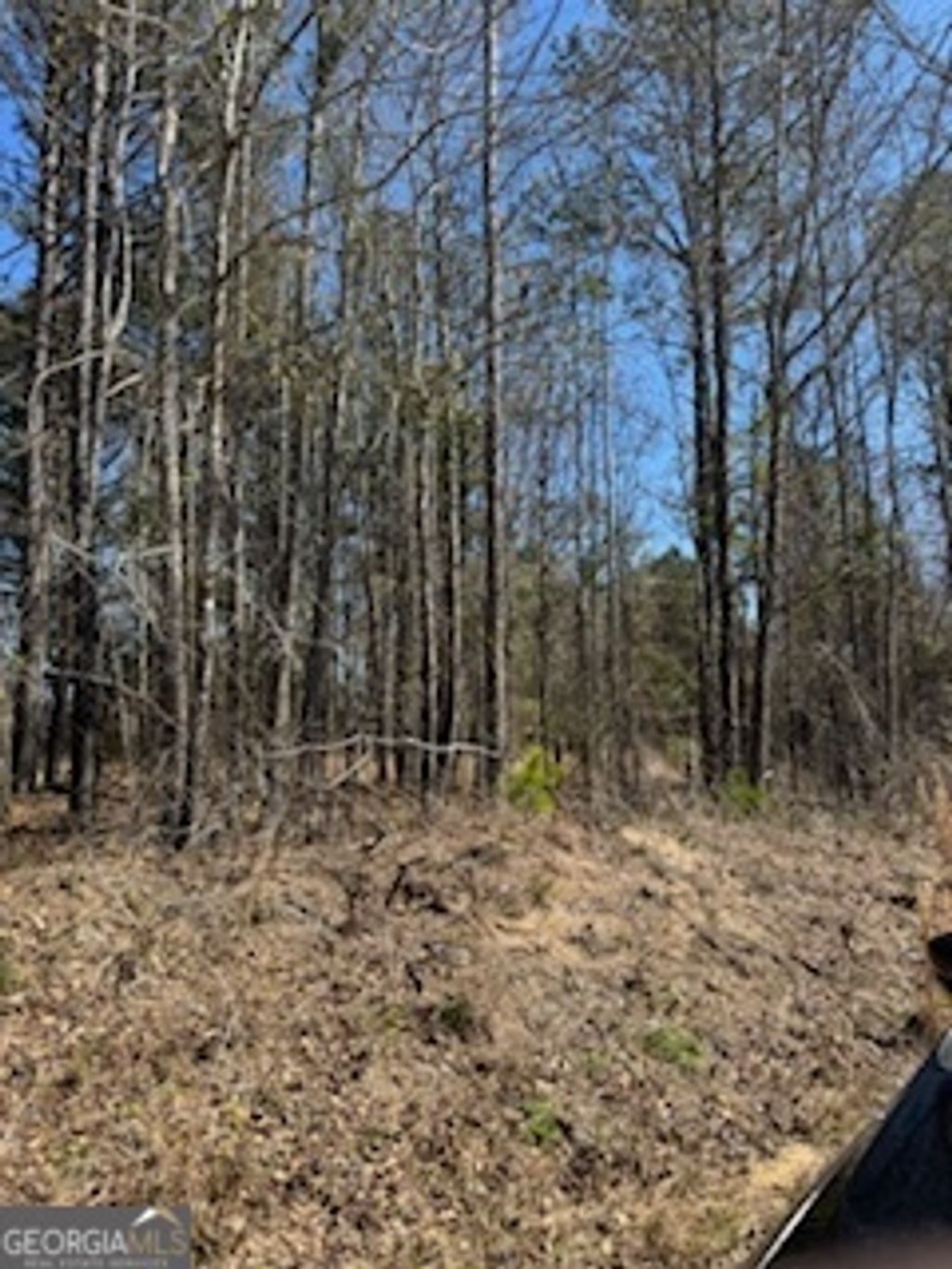 Photo of 1112 Shoals Road, Sparta, GA 31087 (MLS # 10473385)