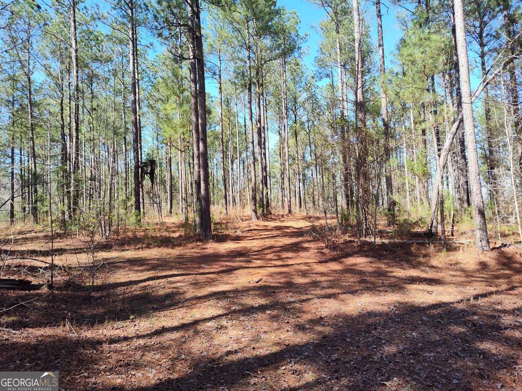 Photo of 1302 River Rd, Elberton, GA 30635 (MLS # 10706779)