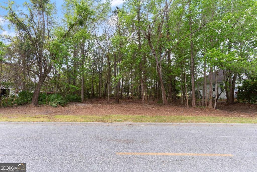 Photo of 214 Harbor Pointe Drive, Brunswick, GA 31523 (MLS # 10724919)