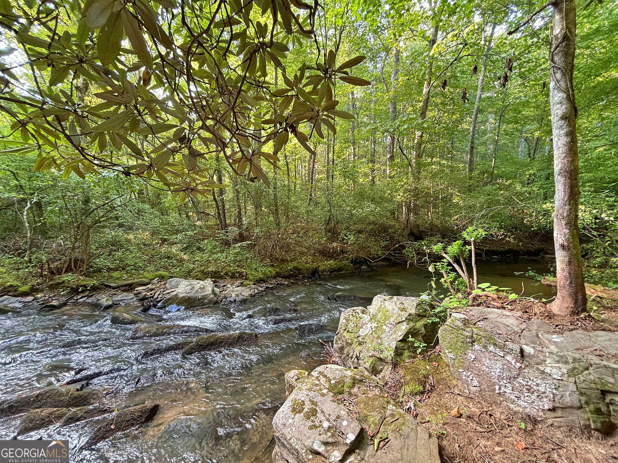 500 Mt Springer RD