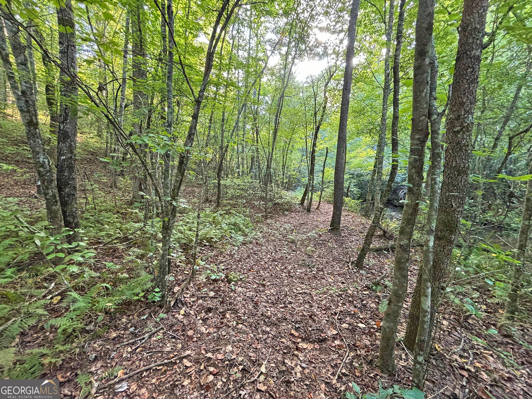 500 Mt Springer RD
