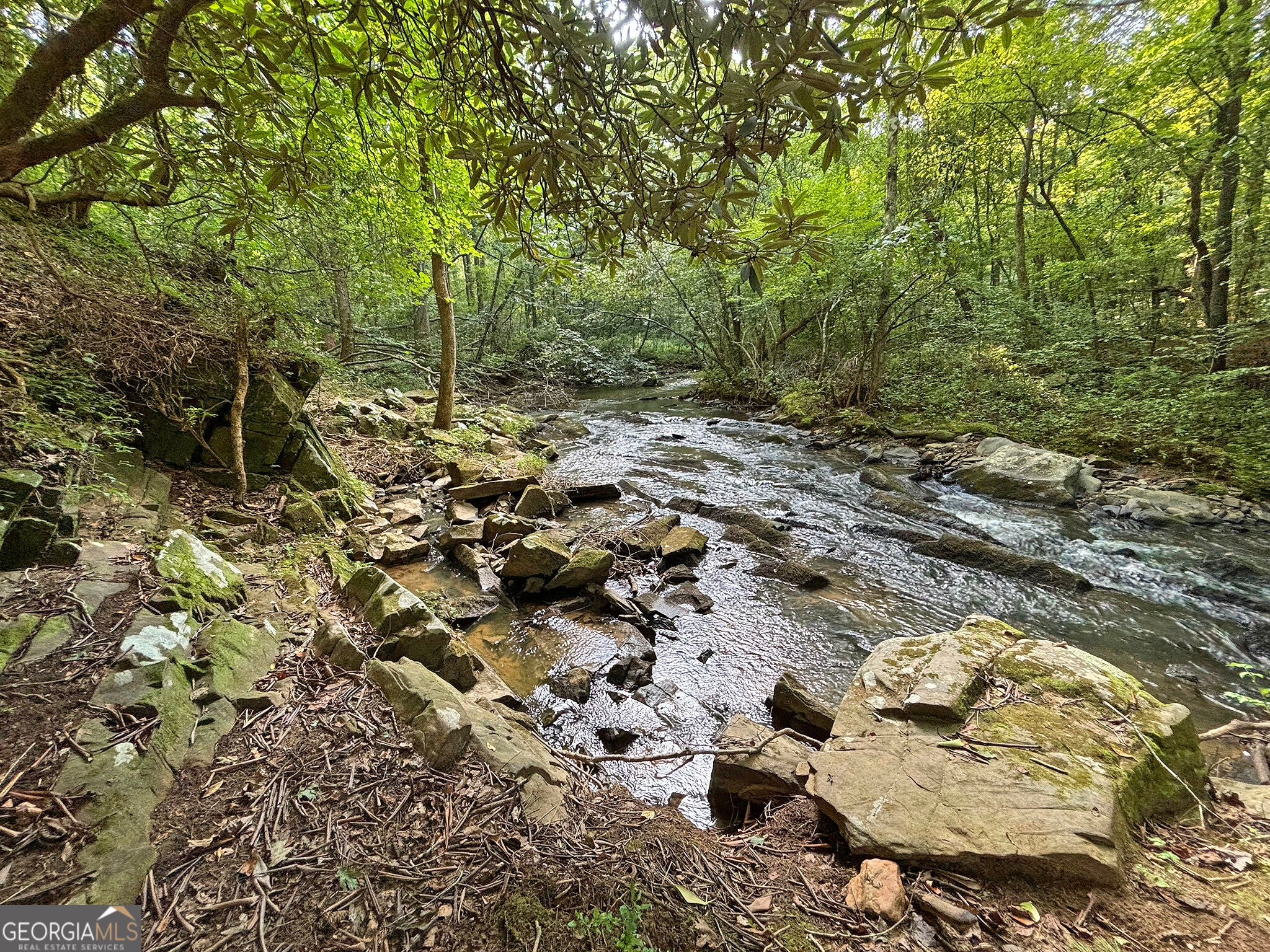 500 Mt Springer RD