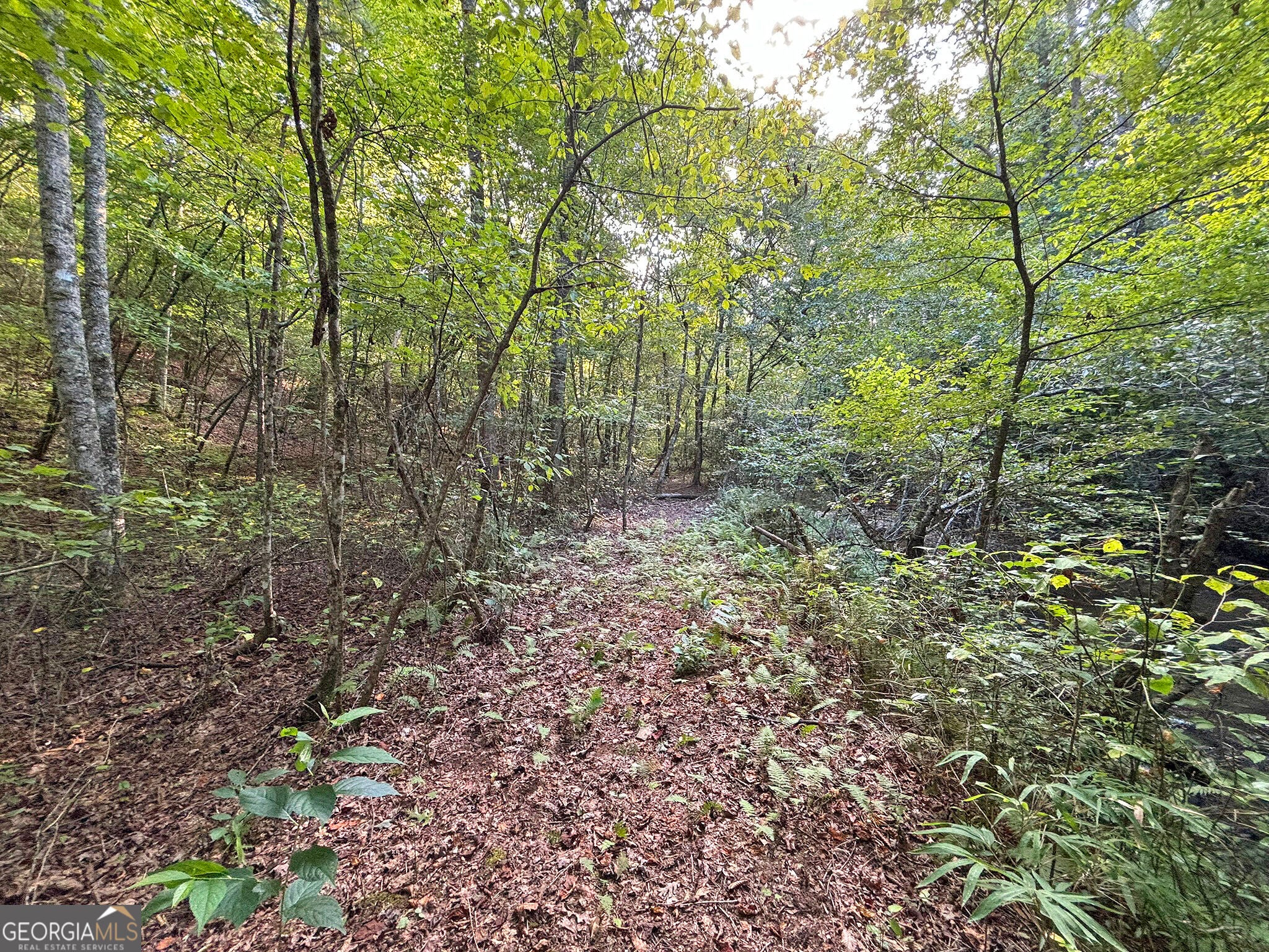 500 Mt Springer RD