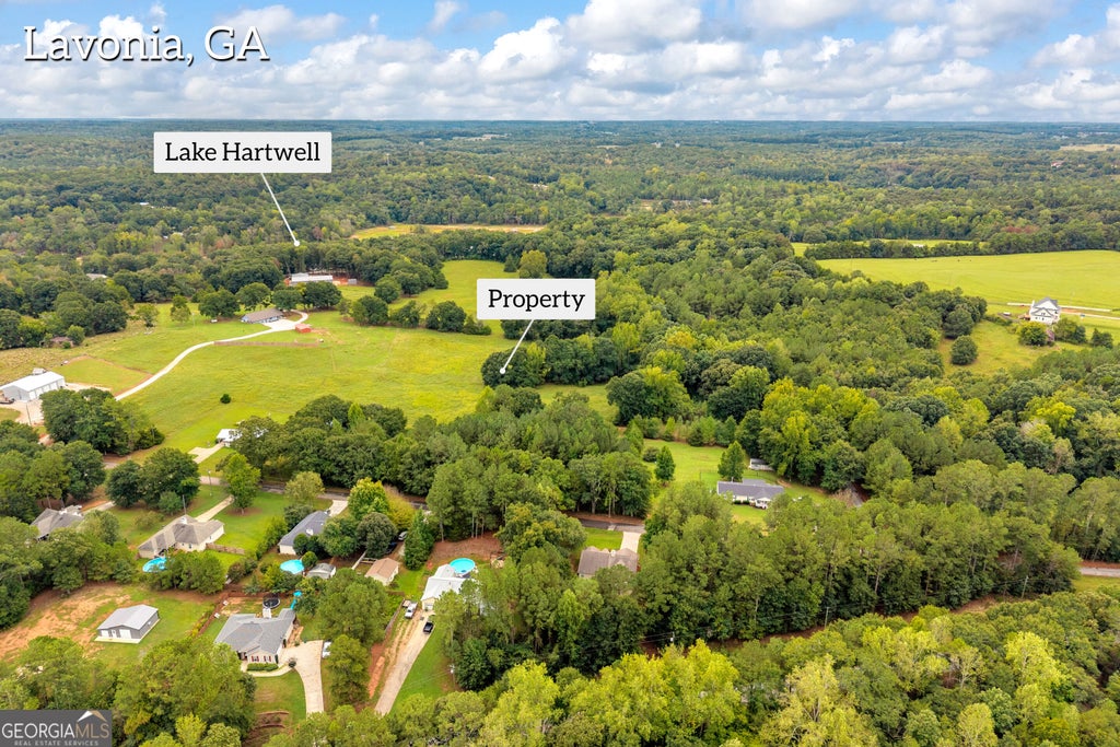 Photo of 0 Willis Road, Lavonia, GA 30553 (MLS # 10853116)