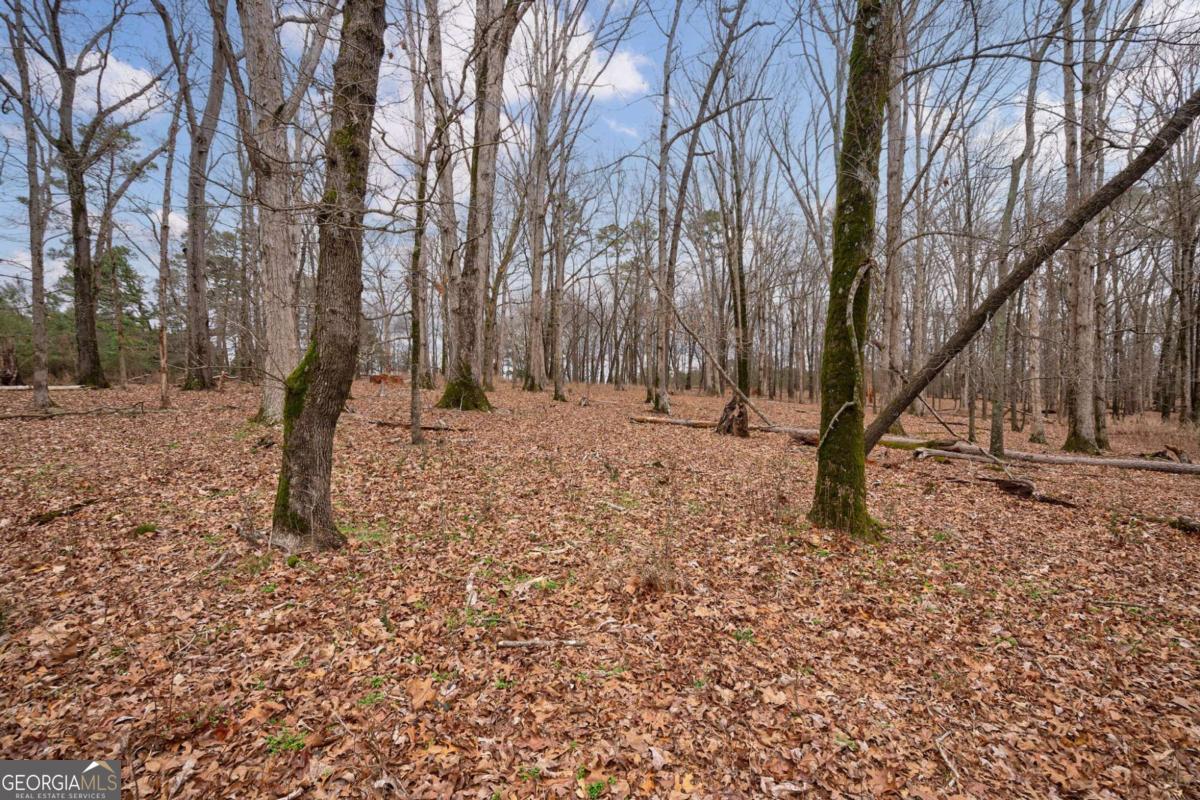 TRACT 2 High Shoals RD