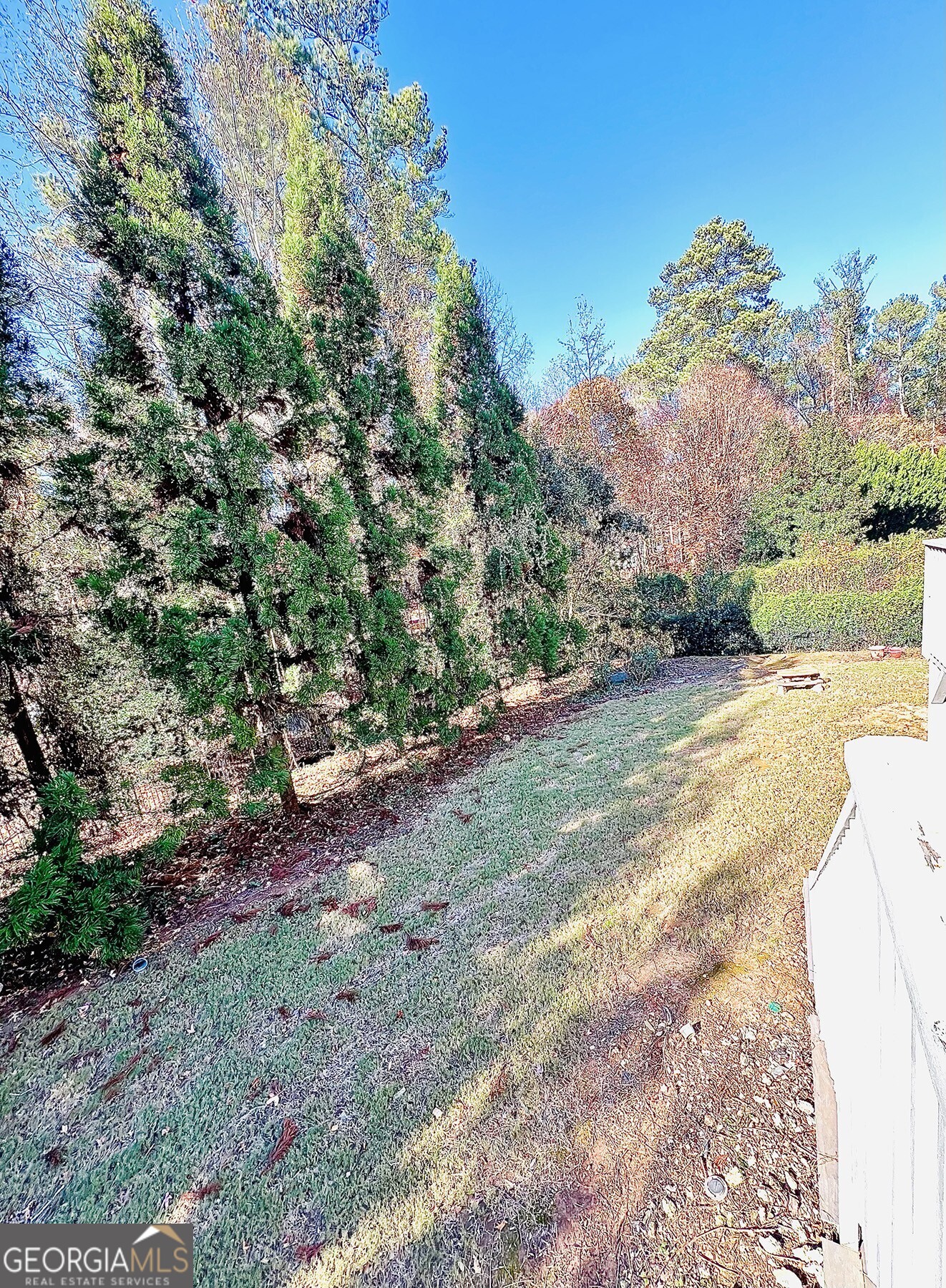Haynes Valley - Residential Lease