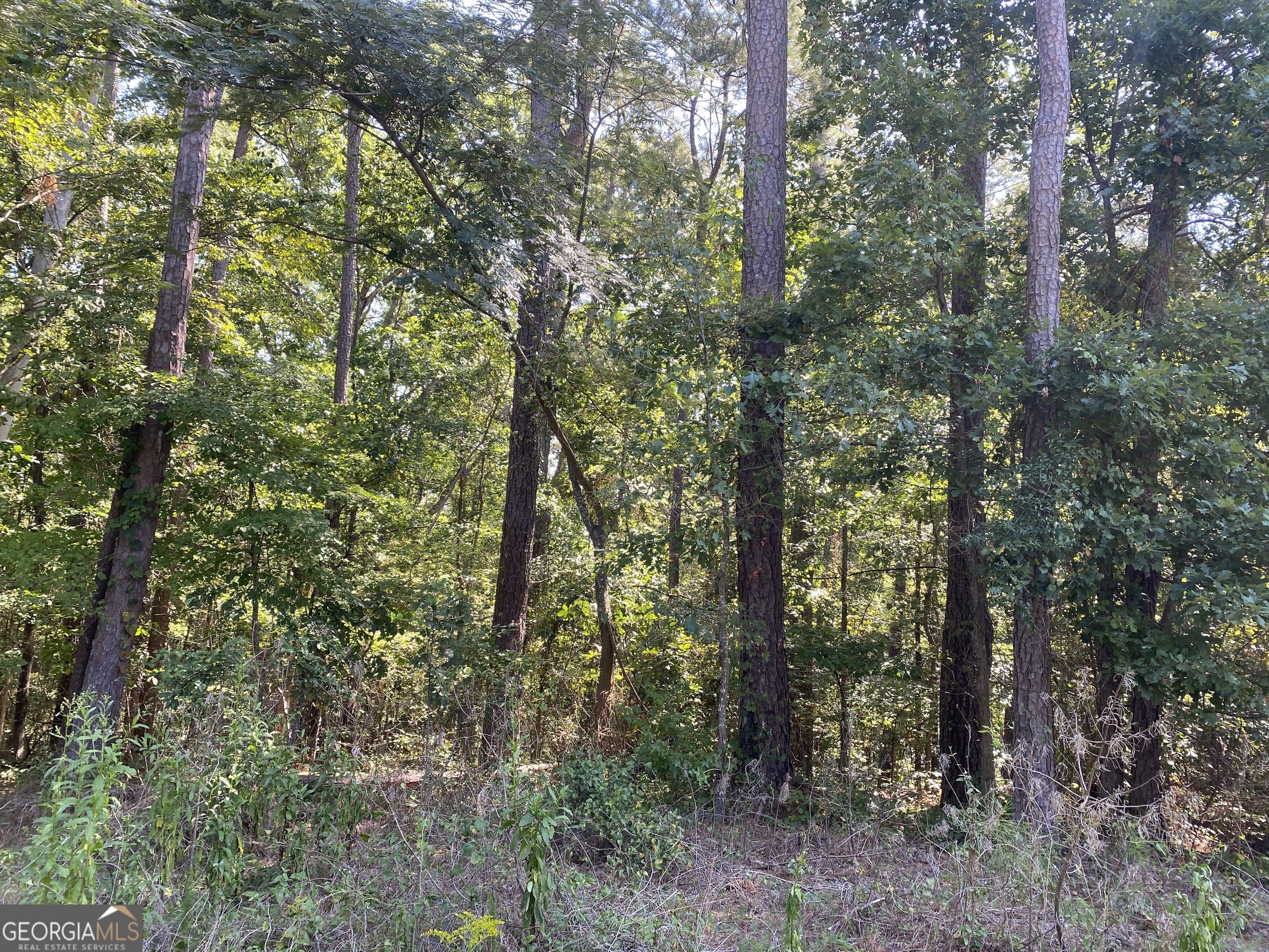 LOTS FOR SALE! This lot is being sold along with Lot 644, Tax ID #063-0-15-0013 for a total acreage of 0.34 acres. Price reflects the listing price for the two lots. Build your home and enjoy the two private lakes and amenities of the Hi Roc Shores neighborhood, or simplyenjoy the amenities by being a property owner in the community. Convenient to I-20, schools and shopping.