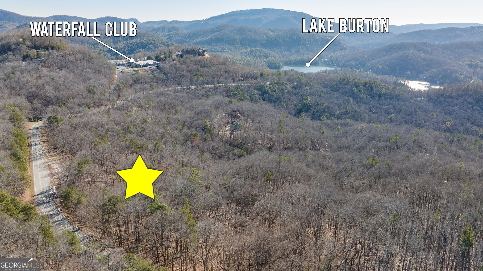 0 Forest Canopy WAY 11