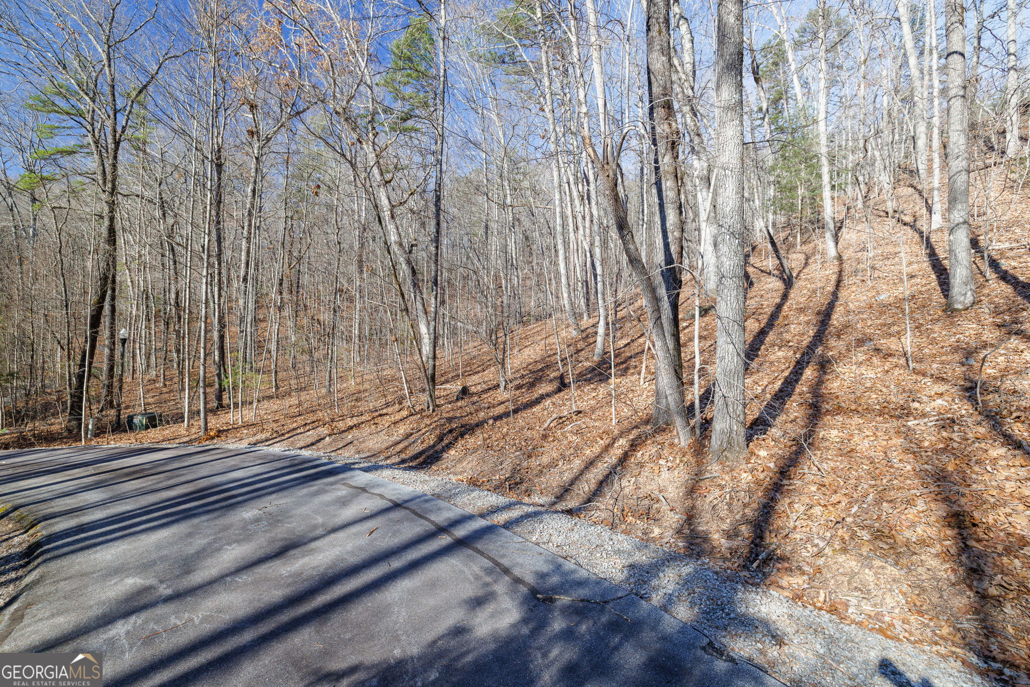 0 Forest Canopy WAY 11