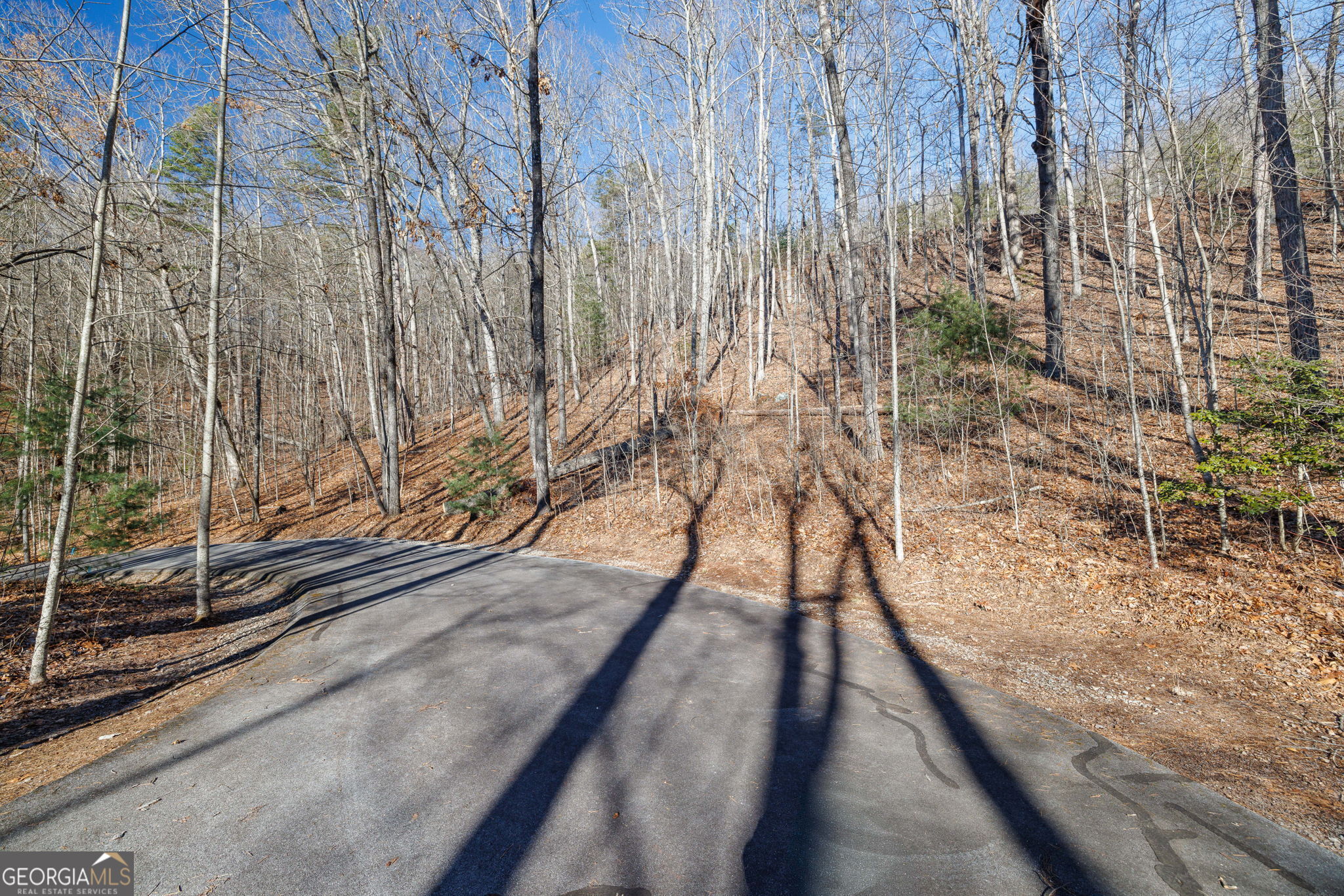 0 Forest Canopy WAY 11