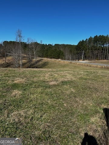 1647 Garland Mountain TRL