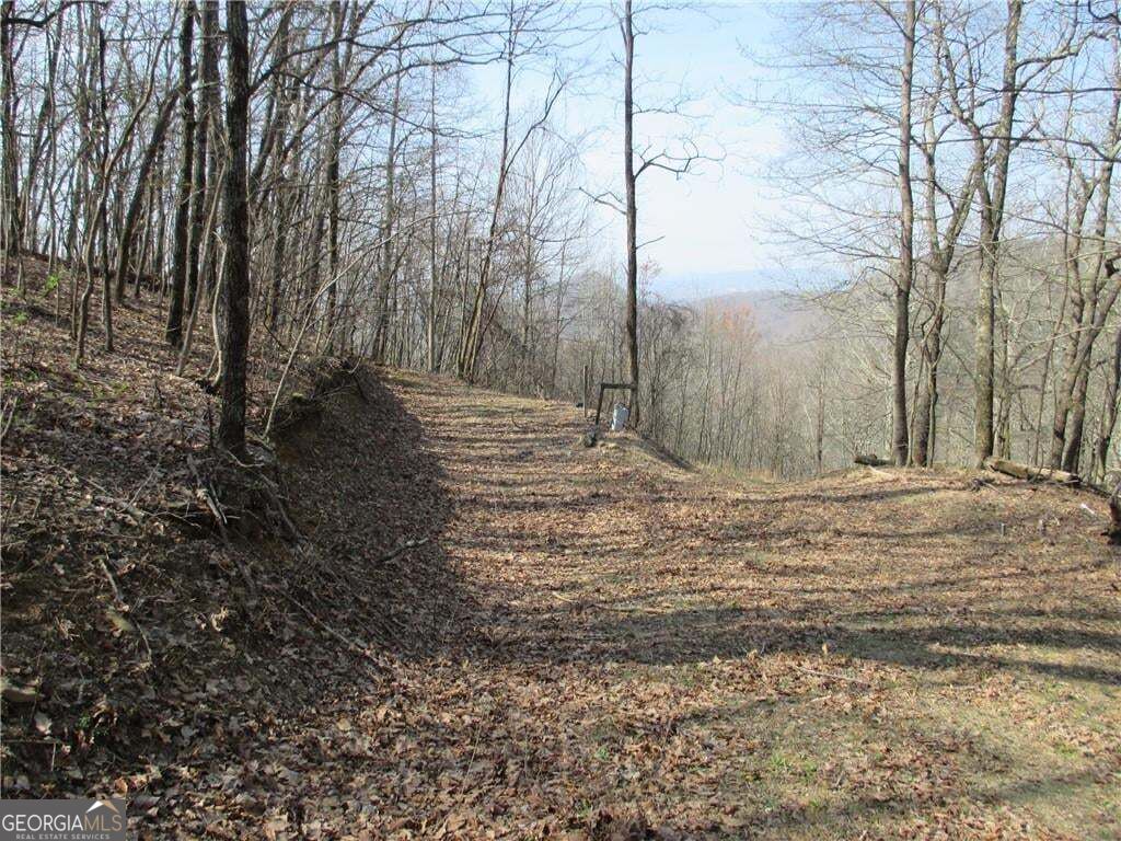 Photo of 11 Indian Trail Drive, Jasper, GA 30143 (MLS # 10880357)