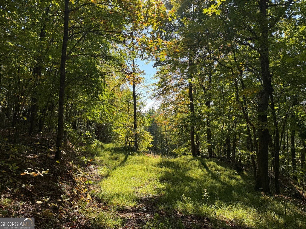 Photo of 11 Indian Trail Drive, Jasper, GA 30143 (MLS # 10880357)