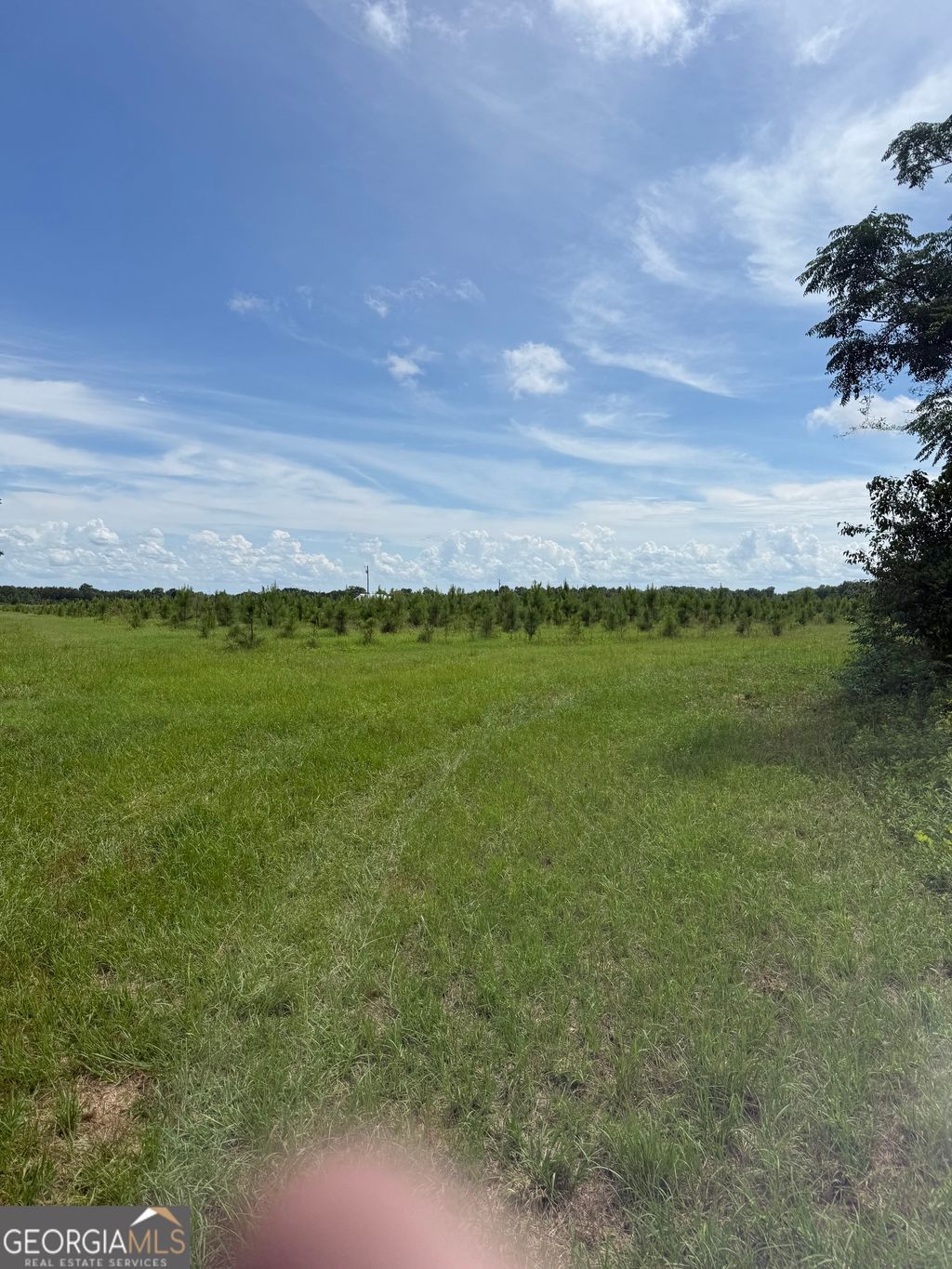 Photo of 4276 county line Rd, Lumpkin, GA 31815 (MLS # 10779012)
