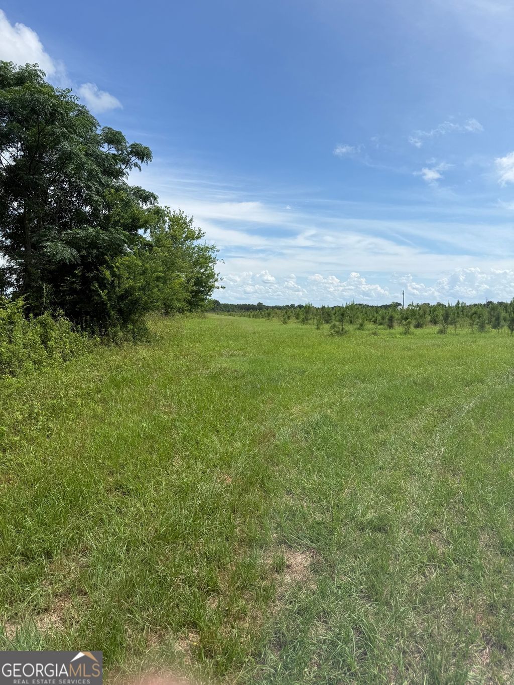 Photo of 4276 county line Rd, Lumpkin, GA 31815 (MLS # 10779012)