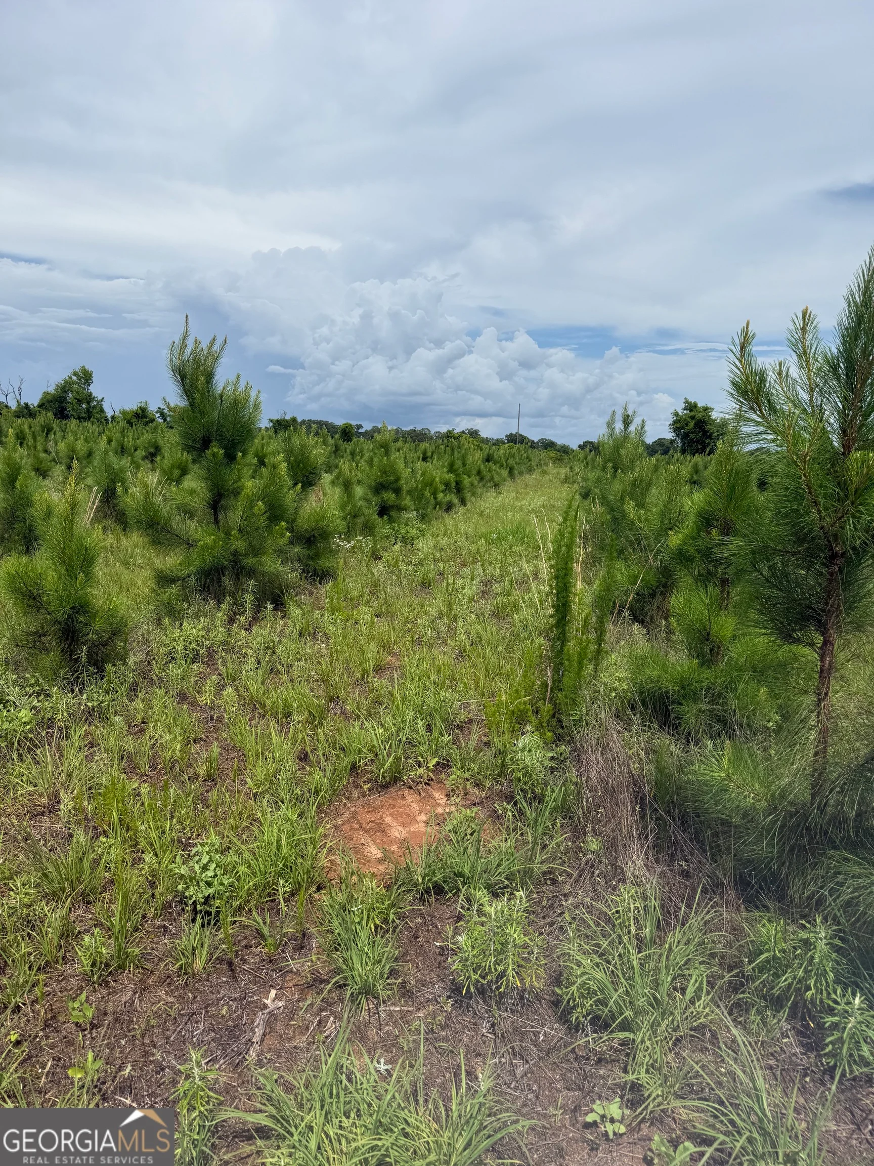 4276 County Line Road, Lumpkin, GA, 31815