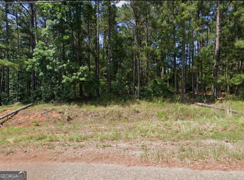 Photo of 1675 Concord Road, Shady Dale, GA 31085 (MLS # 10688362)