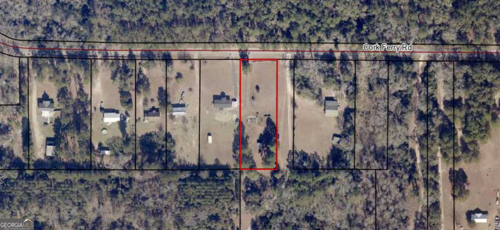 Photo of 415 Cork Ferry Road, Cordele, GA 31015 (MLS # 10660675)
