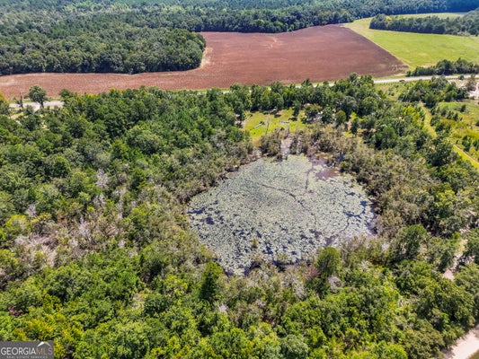 608 IDLEWOOD RD, WAYNESBORO, GA 30830 - Image d7e003311dcba8fb9b3bc7dd043fe70a/4053992944