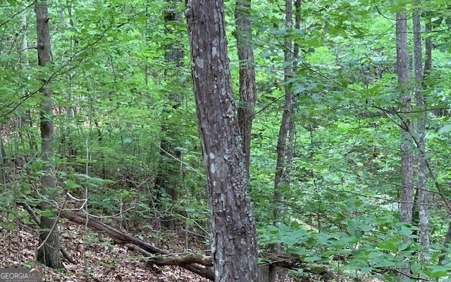 Photo of 18 Bruce Mountain, Blairsville, GA 30512 (MLS # 20161392)