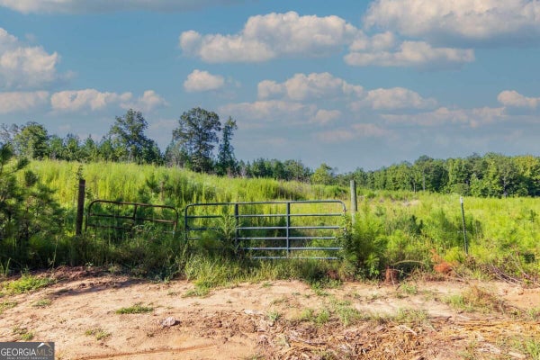 CARLISLE GAP RD, WOODLAND, GA 31836 - Image d7fb6b82c5fbbcd6064eb95dbc0312ec/3054382056